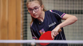 tenis pařízková 47059812202 98096a81cc c